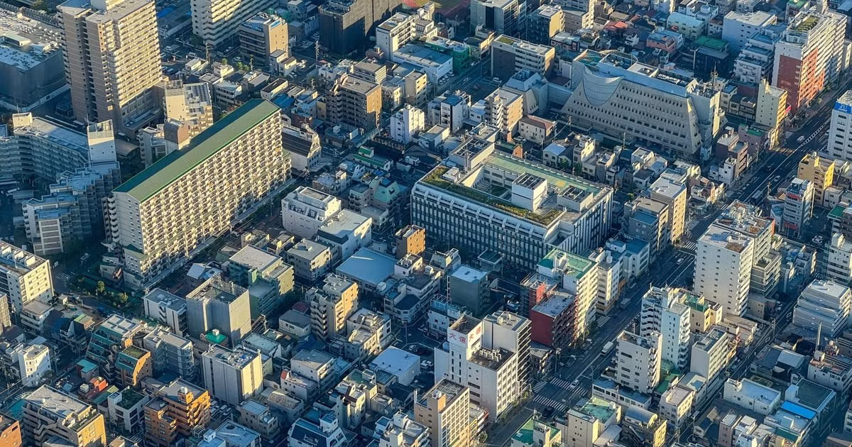 The Student’s Guide to Tokyo